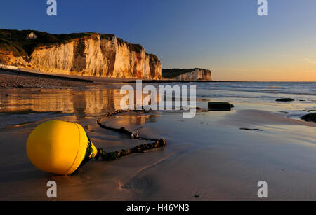 Abendsonne am Strand von Les Petites-Dalles, La Côte d'Albâtre, Normandie, Frankreich Stockfoto