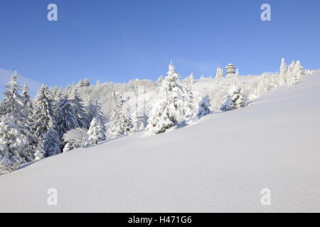 Deutschland, Baden-Wurttemberg, Süd Schwarzwald, Feldberg (Berg), Winterlandschaft, Stockfoto