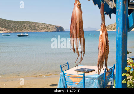 Strandbar, Octopus, aufgehängt an der trockenen Insel Sifnos, Cyclades, Griechenland, Stockfoto