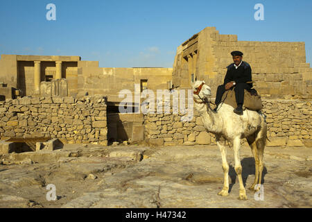 Ägypten, Kairo, Gizeh, Pyramiden Gizeh, Polizist auf Kamel, Stockfoto