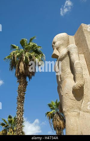 Ägypten, Kairo, Memphis, Statue, Ramses II, Stockfoto