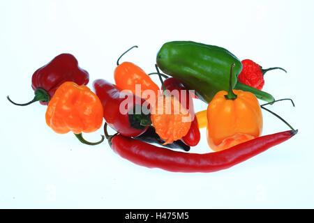 einige Chili-Pfeffer, Capsicum annuum Stockfoto