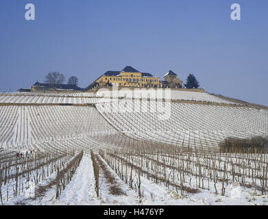 Deutschland, Hessen, Rheingau, Berg Johannis, Schlossberg Johannis, Stockfoto