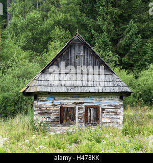 Altes verlassenes Haus mitten im Wald Stockfoto