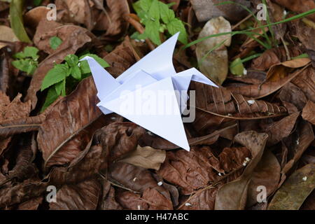 Origami Kolibri und Kran auf schöne Blumen in vollem Umfang Frühling in ein Litle Garten. Stockfoto