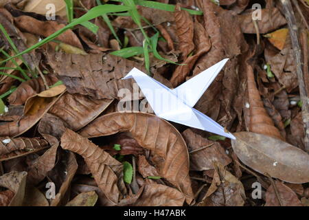 Origami Kolibri und Kran auf schöne Blumen in vollem Umfang Frühling in ein Litle Garten. Stockfoto