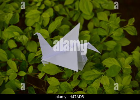 Origami Kolibri und Kran auf schöne Blumen in vollem Umfang Frühling in ein Litle Garten. Stockfoto