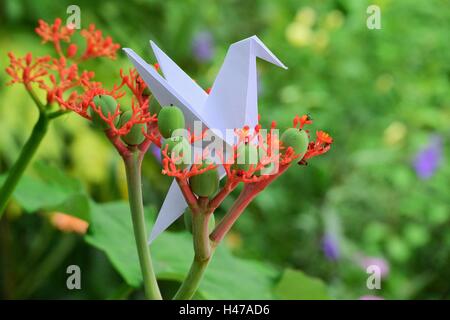 Origami Kolibri und Kran auf schöne Blumen in vollem Umfang Frühling in ein Litle Garten. Stockfoto