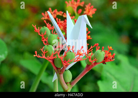 Origami Kolibri und Kran auf schöne Blumen in vollem Umfang Frühling in ein Litle Garten. Stockfoto