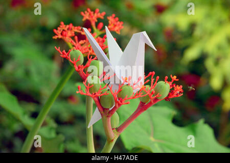 Origami Kolibri und Kran auf schöne Blumen in vollem Umfang Frühling in ein Litle Garten. Stockfoto