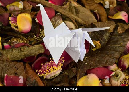 Origami Kolibri und Kran auf schöne Blumen in vollem Umfang Frühling in ein Litle Garten. Stockfoto