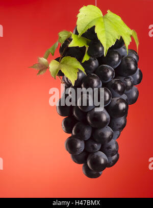 Trauben, Stockfoto