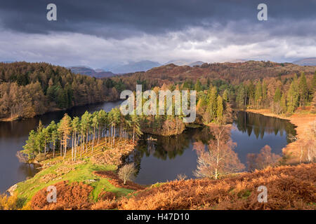 Malerische Tarn Hows in der Seenplatte, Cumbria, England. Herbst (November) 2014. Stockfoto