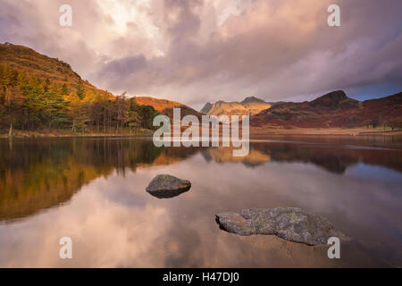 Dramatische Sonnenaufgang Licht über Blea Tarn und Langdale Pikes, Lake District, Cumbria, England. Herbst (November) 2014. Stockfoto