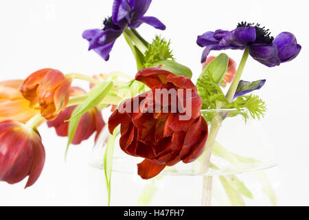 Orange Tulpen in Glasvase Stockfoto