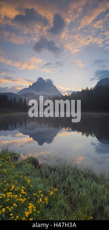 Italien, Veneto, Sextener Dolomiten (Sextener Dolomiten), Lago Antorno, Sumpfdotterblumen, Drei Zinnen / Tre Cime di Lavaredo (drei Zinnen) Berge, Dämmerung, Stockfoto