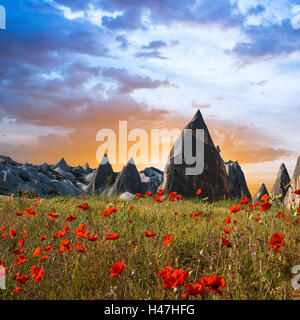 Felsformationen und roten Blüten von Kappadokien in Zentral-Anatolien, Türkei Stockfoto