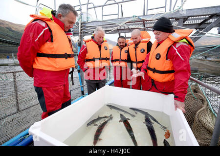 Der Prinz von Wales, bekannt als der Herzog von Rothesay während in Schottland, mit Steve Bracken, Marine Harvest Business support Manager, mit (von links nach rechts) Marine Harvest Business support Manager Steve Bracken, Tierarzt David Cockerill, farm Manager Andrew Martin und Meerwasser-Manager David MacGillivary, während eines Besuchs in einer nachhaltigen Lachsfarm bei Marine Harvest Loch Leven Fischfarm, am Loch Leven an überführt , von Fort William und Inverness-Shire. Stockfoto