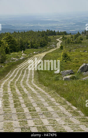 Deutschland, Sachsen-Anhalt, Harz, Klumpen, Wanderweg, Grenze Weg, Weg, Haus, Landschaft, Klumpen niemand, niedrige Bergkette, Wanderung, Gipfel, harzigen Ausläufern Stockfoto