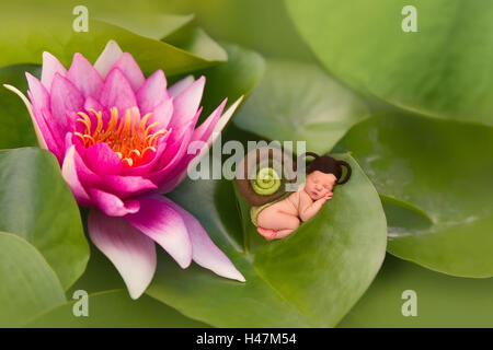 Neugeborenes Baby in Schnecke Outfit schlafen auf einem Blatt der Seerose Stockfoto