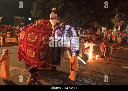 Elefanten, die Teilnahme an der Esala Perahera in Kandy Sri Lanka. Diese Prozession jährlich ist eine Hommage an die heiligen Zahn-Reliquie des Buddha. Stockfoto