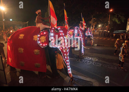 Elefanten, die Teilnahme an der Esala Perahera in Kandy Sri Lanka. Diese Prozession jährlich ist eine Hommage an die heiligen Zahn-Reliquie des Buddha. Stockfoto