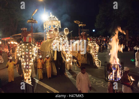 Elefanten, die Teilnahme an der Esala Perahera in Kandy Sri Lanka. Diese Prozession jährlich ist eine Hommage an die heiligen Zahn-Reliquie des Buddha. Stockfoto