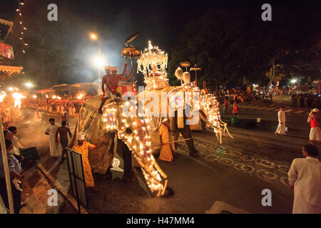 Elefanten, die Teilnahme an der Esala Perahera in Kandy Sri Lanka. Diese Prozession jährlich ist eine Hommage an die heiligen Zahn-Reliquie des Buddha. Stockfoto