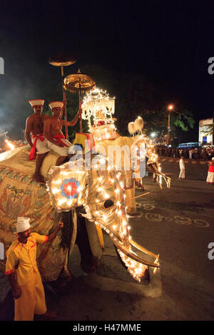 Elefanten, die Teilnahme an der Esala Perahera in Kandy Sri Lanka. Diese Prozession jährlich ist eine Hommage an die heiligen Zahn-Reliquie des Buddha. Stockfoto