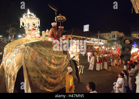 Elefanten, die Teilnahme an der Esala Perahera in Kandy Sri Lanka. Diese Prozession jährlich ist eine Hommage an die heiligen Zahn-Reliquie des Buddha. Stockfoto