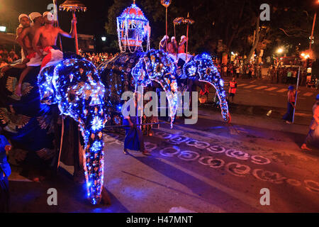 Elefanten, die Teilnahme an der Esala Perahera in Kandy Sri Lanka. Diese Prozession jährlich ist eine Hommage an die heiligen Zahn-Reliquie des Buddha. Stockfoto