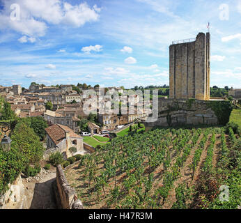 Frankreich, Gironde, Saint-Emilion, Weinberge von Bordeaux, Natur, Stockfoto