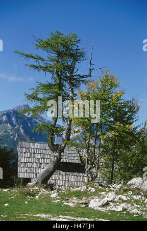 Slowenien, Nationalpark Triglav, Vogels Bereich, Almhütte, Blick Punkt, Naturschutzgebiet, Berglandschaft, Berge, Hochgebirges, Vogels Gipfel, Berg Holz, Alm, Hütte, Holzhütte, Natur, menschenleer, Stockfoto