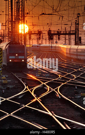 Schienen, Züge, Abendstimmung, Spuren, Sonne, Abend, Stockfoto