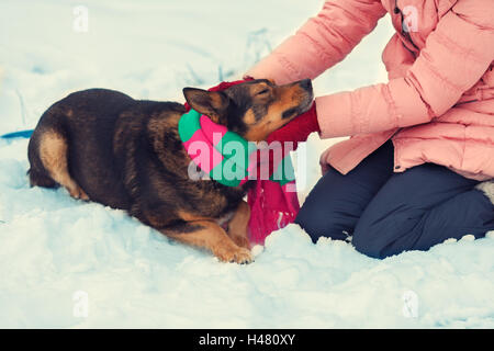 Frau binden einen Schal auf einen Hund im kalten winter Stockfoto