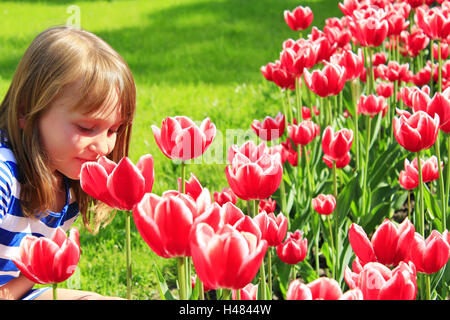 kleines Mädchen riecht rote Tulpen auf dem Blumenbeet Stockfoto