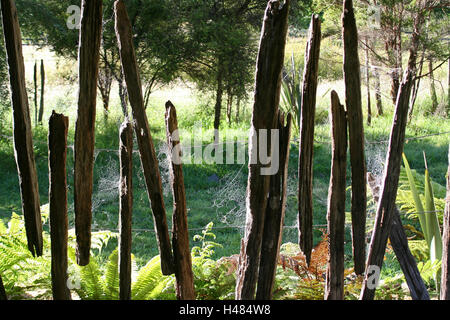 Neuseeland, Südinsel, Nydia Track, Zaun, Stockfoto