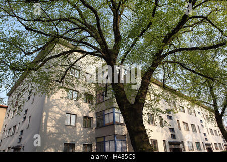 Berlin, UNESCO-Weltkulturerbe Weiße Stadt Stockfoto