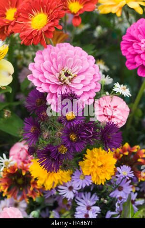 Eine Anordnung der Herbst Blumen. Stockfoto