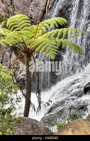 Sri Lanka, Horton Plains, Wasserfall, Felsen, Stockfoto