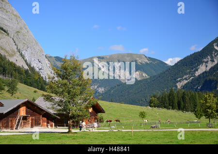 Österreich, Tirol, eng, Fissura Tal, Naturschutzgebiet, große Ahorn Boden, Karwendelgebirges, Bauernhäuser, Stockfoto