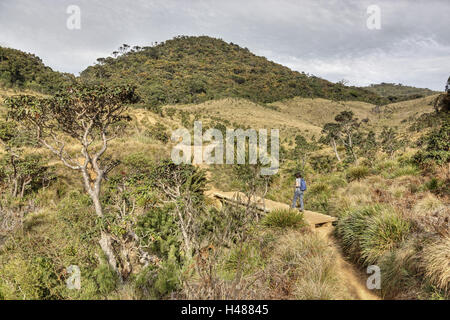 Sri Lanka, Horton Plains, Landschaft, Trail, Wanderer, Stockfoto