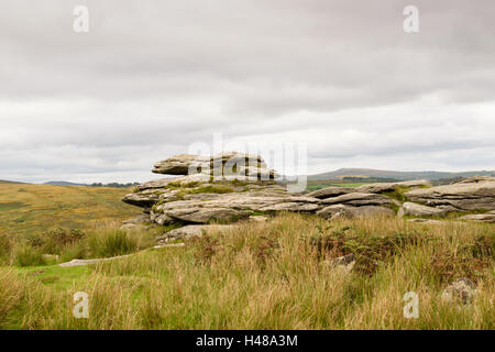 Combestone Tor in Dartmoor National Park, Devon, England, UK Stockfoto