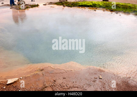 Dampf steigt aus den großen Geysir Geysir Island Stockfoto