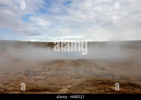 Dampf steigt aus den großen Geysir Geysir Island Stockfoto