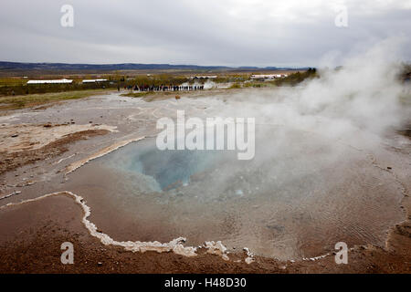 Dampf steigt aus den großen Geysir Geysir Island Stockfoto