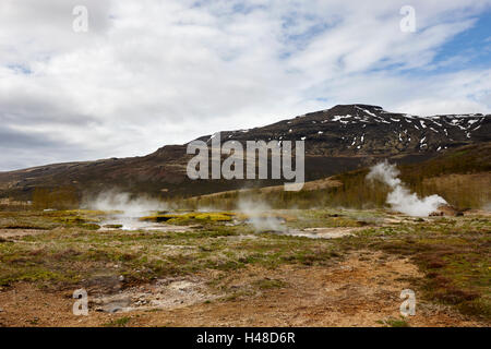 Dampf steigt aus geothermalen Hotspots und kleine Geysire am Geysir Standort Island Stockfoto