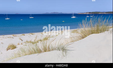 Italien, Sardinien, Porto Pino, Küste, Dünen, Strand, Meer, Segelboote, Europa, Süd, Europa, Insel, Landschaft, Sandstrand, Sand, Dünen Landschaft, Sand Dünen, Küstenlandschaft, Rasen, Südwest-Küste, Strand, Sandstrand, Stiefel, Segelschiffe, Segeln, Yachten, Yachten, Anker, Farbstimmung, Farbe blau, Menschen, Urlauber, Touristen, Badegäste, das Mittelmeer, Breite, Abstand, Reiseziel, Urlaub, Strandurlaub, Horizont, BT, Stockfoto