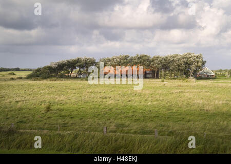 Deutschland, Insel Langeoog, Bauernhof, Stockfoto