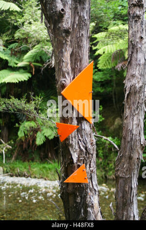 Neuseeland, Südinsel, Nydia Track, Wegweiser, Stockfoto